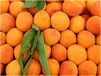 apricots